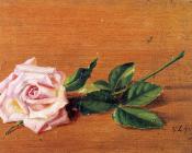 Rose - 乔治·洛夫特斯·诺伊斯